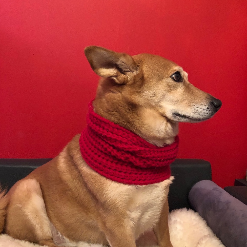 NWT Fab Dog Red Infinity Knit Dog Scarf